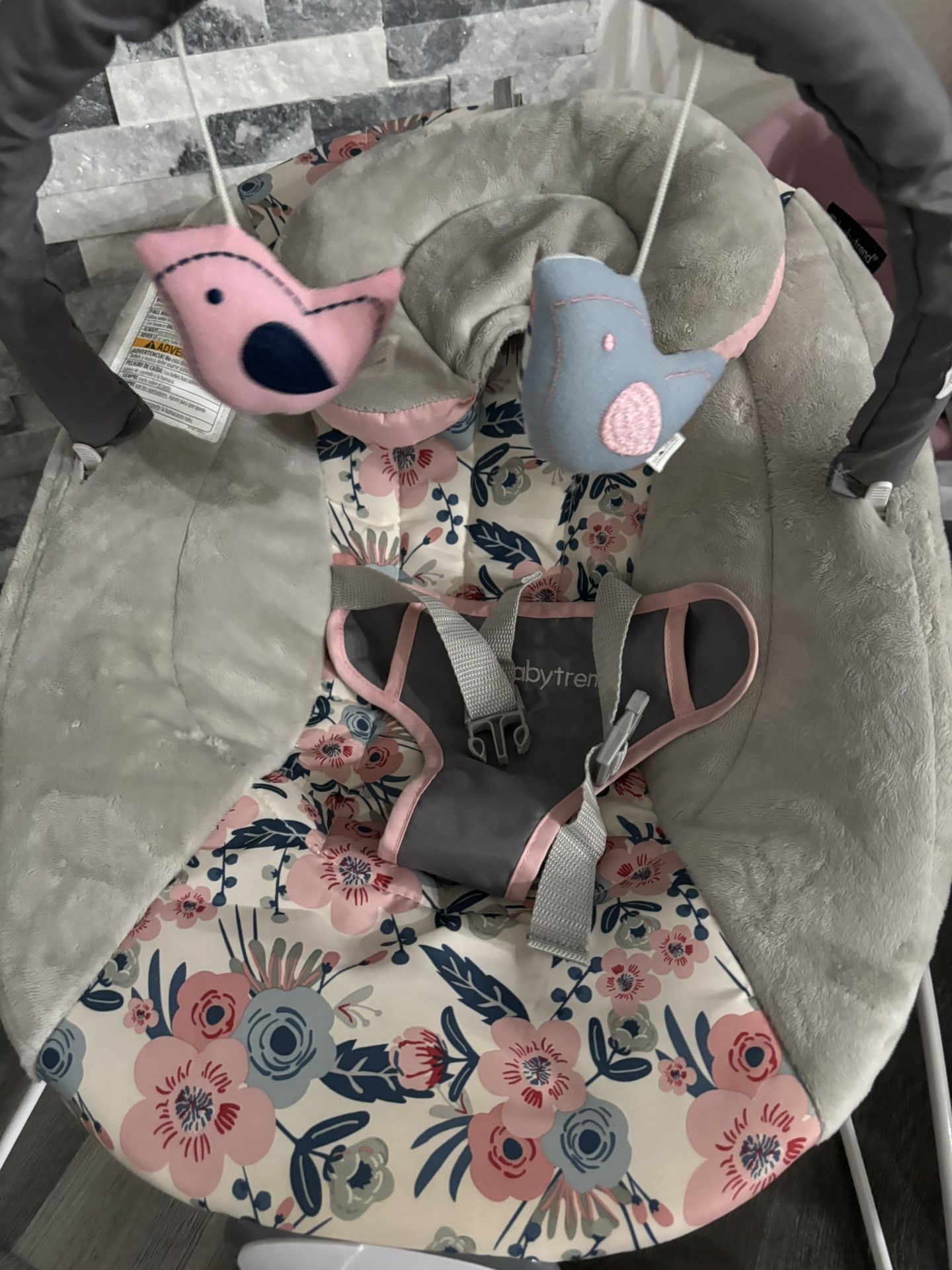 Baby Bouncer 