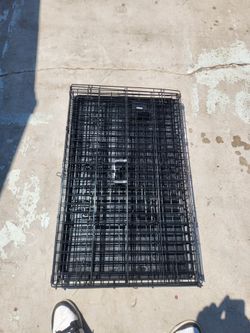 36" dog crate