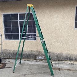 Davidson 8 foot ladder