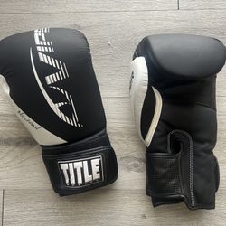 Adult Boxing Gloves
