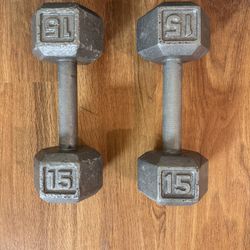 15 lbs Dumbbells