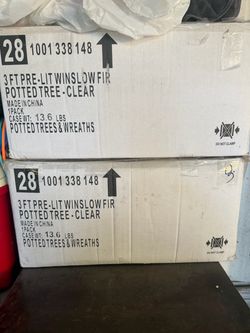 3 Ft Pre-Lit Winslow Fir Potted Tree – Clear