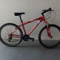BICYCLE GIANT 24 SPEED EXCELLENT CONDITIONS 