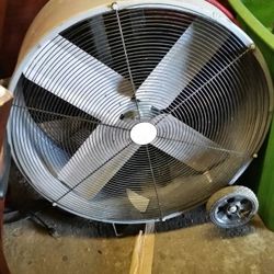 Big Fan