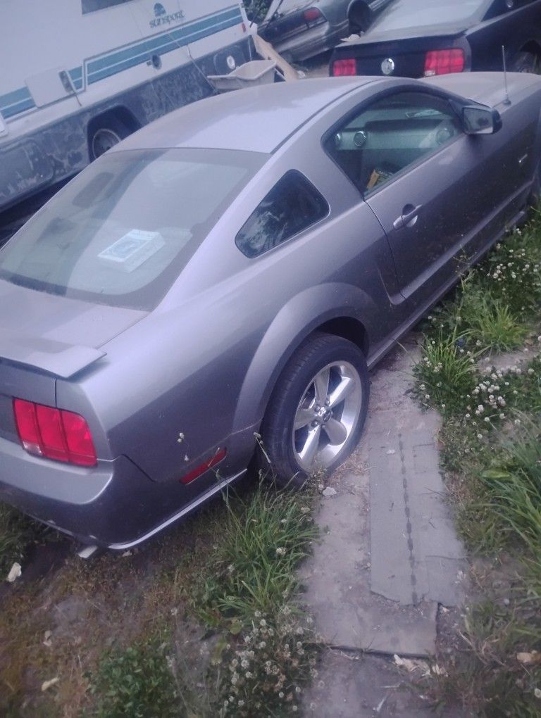 Mustang