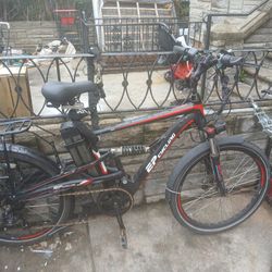 Arrow For Sale 
