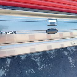 2010/2014 Ford F-150 Pickup Tailgate/Lid