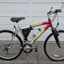 Pacific Silver Wing 21-Speed Mountain Bicycle