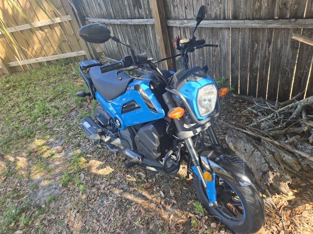 Italica Bulldog 2024