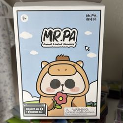MR PA Mystery Box