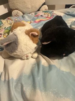 Tokyo Japanese Lifestyle bean bag mini cats plushes