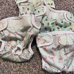 Pet Magasin Reusable Dog Diapers - Like-New 