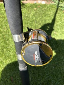 Daiwa Sealine And Rod