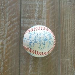 Autographed baseball 25 signatures. A few FRANK HOWARD, WALLACE JOHNSON, RICH ALBERT, JEFF COX, MANY MOR