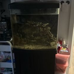 Biocube 32 Gallon With Stand 