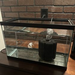 10 Gallon Fish Tank