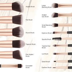 Makeup Brush Essentials