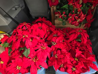 Poinsettia decorative centerpieces 12 (8 gold 4 green)