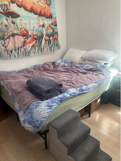 Queen Bed mattress and bedframe