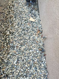 Rock gravel for garden