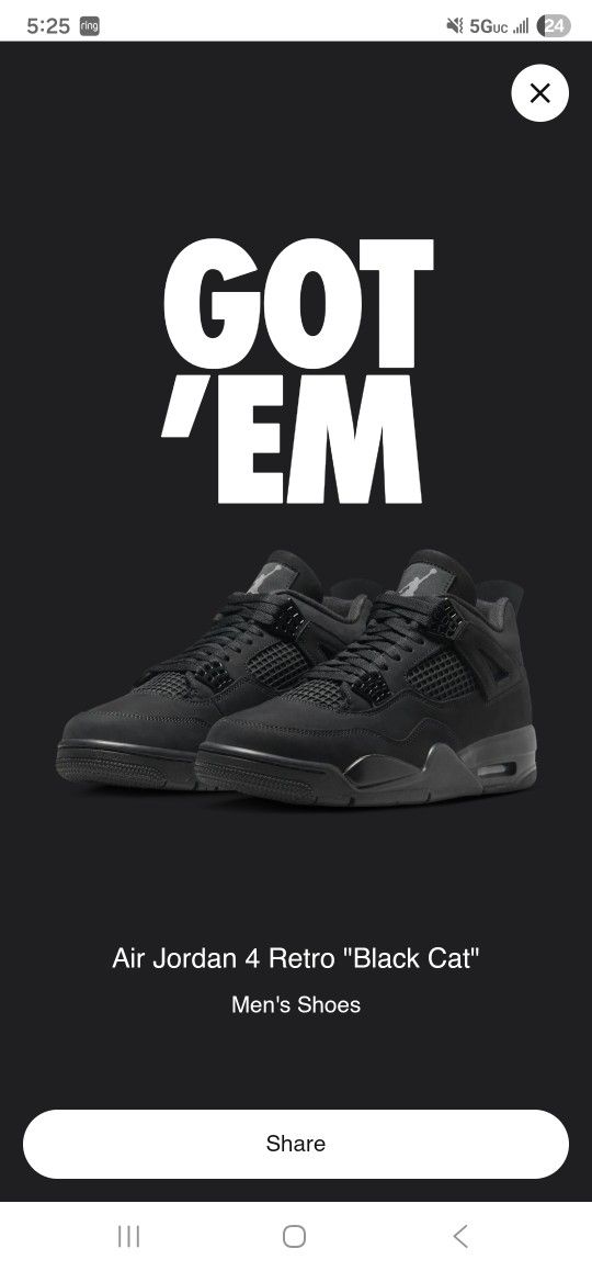 Jordan 4s