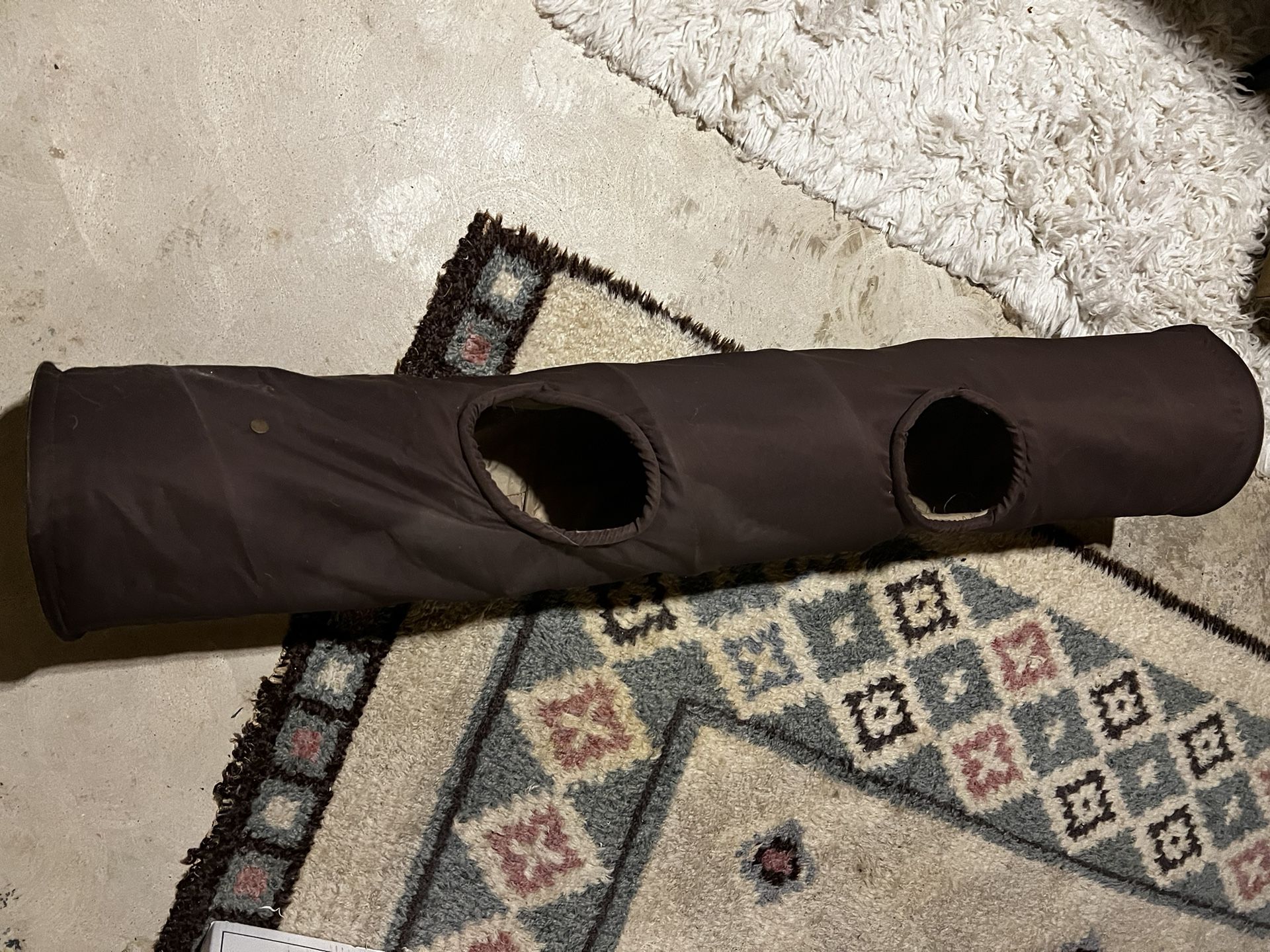 Cat tunnel