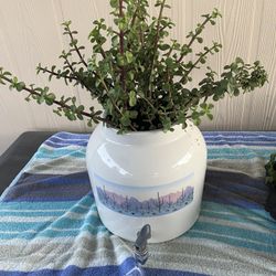 Large Ceramic Planter With Succulent Elephant Food Plant $20 Mesa