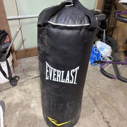 Punching bag