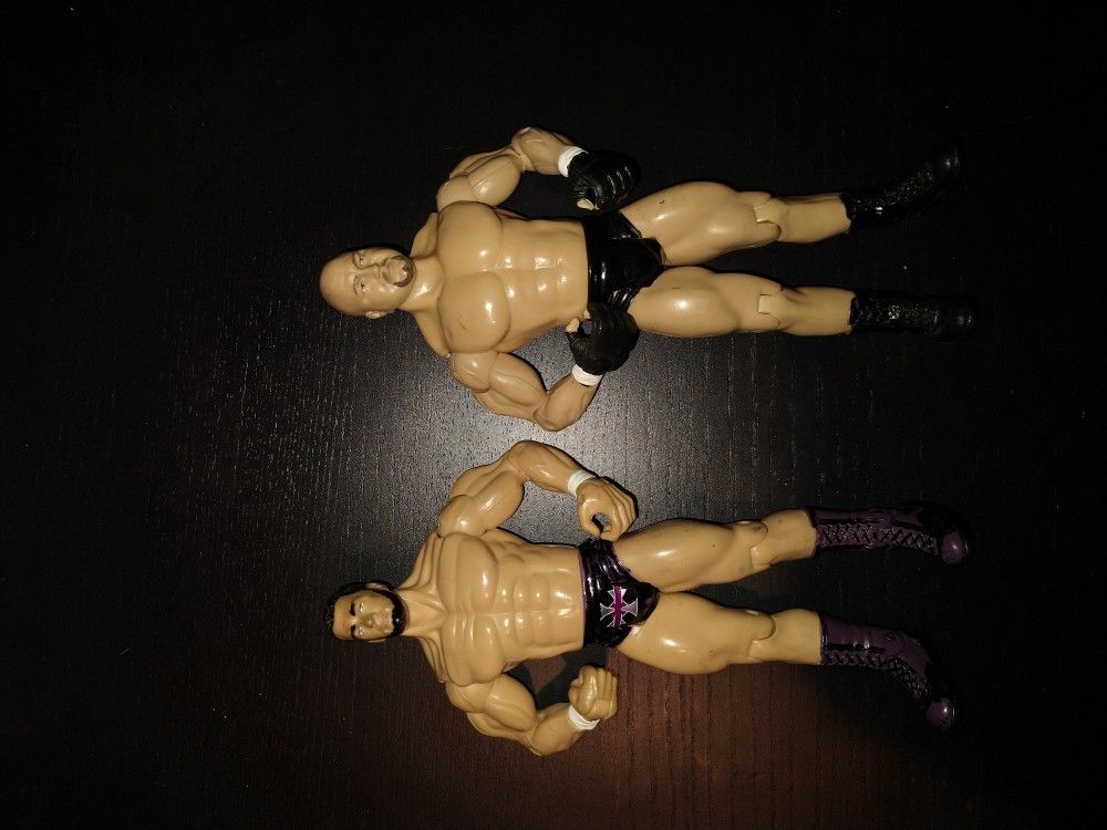 WWE Wrestling Action Figures