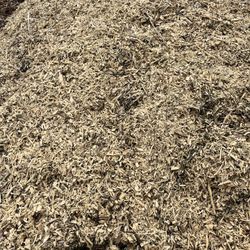 Wood Chips Fresh