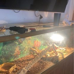 Fish Tank 