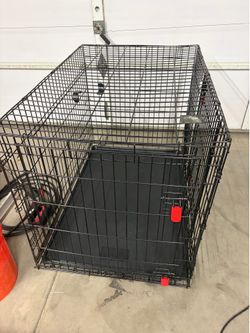 Kong dog crate