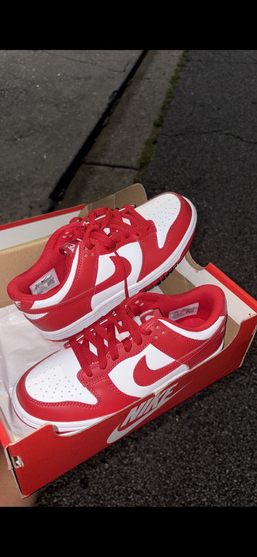 Brand New Dunks