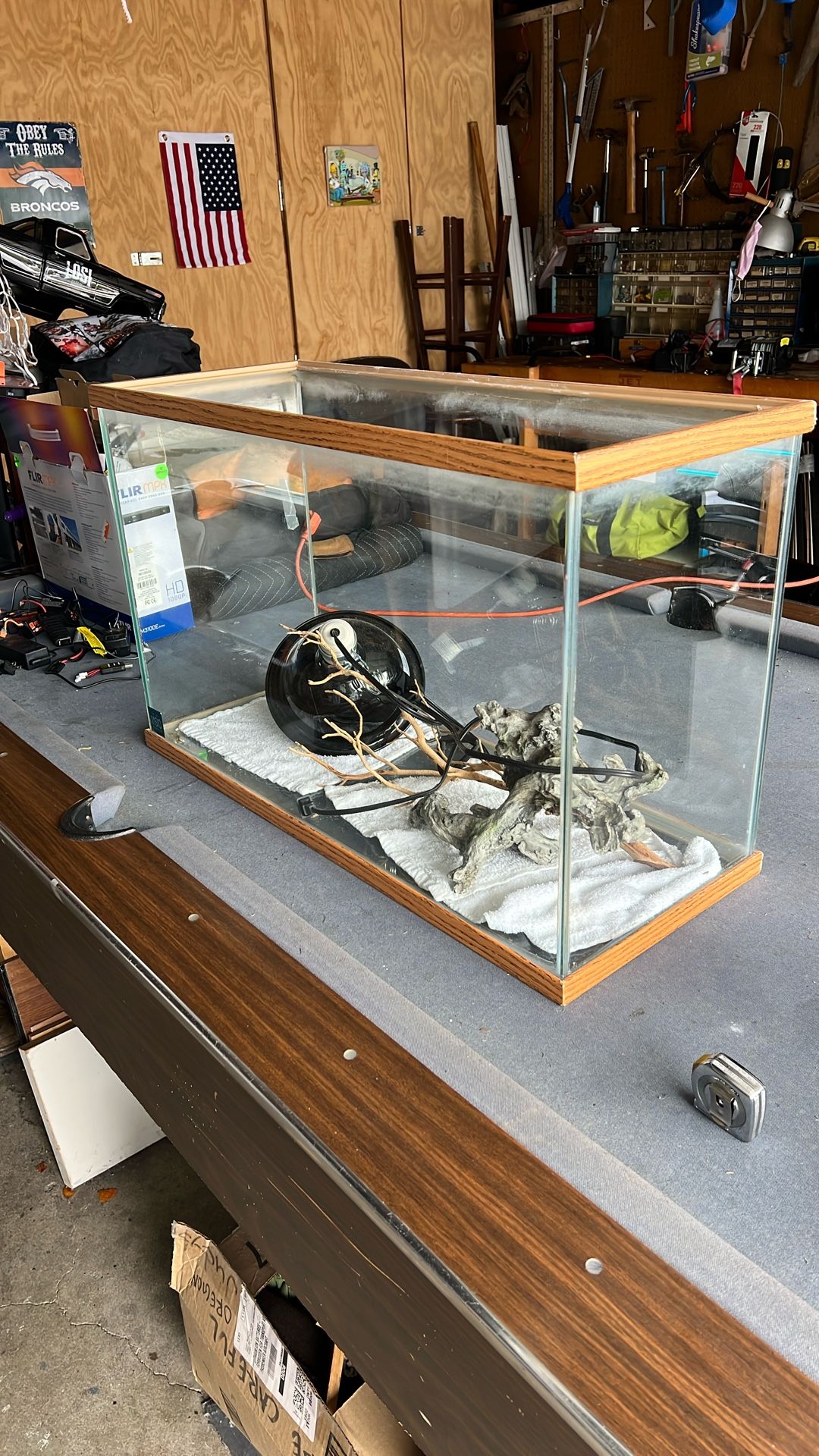 Lizard tank or fish tank