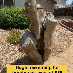 Huge Tree Stump LAWN ART Or 🔥 Wood 6 Yrs Dry