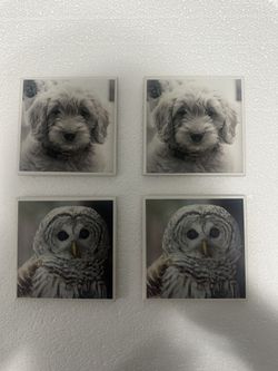 Set of four coasters featuring images of a barred owl and a goldendoodle puppy