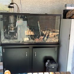 65 Gallon Aquarium And Stand