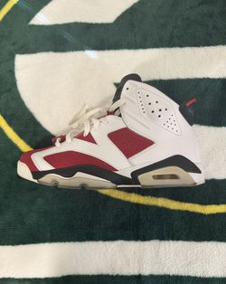 Jordan 6s Size 10.5 (2014)