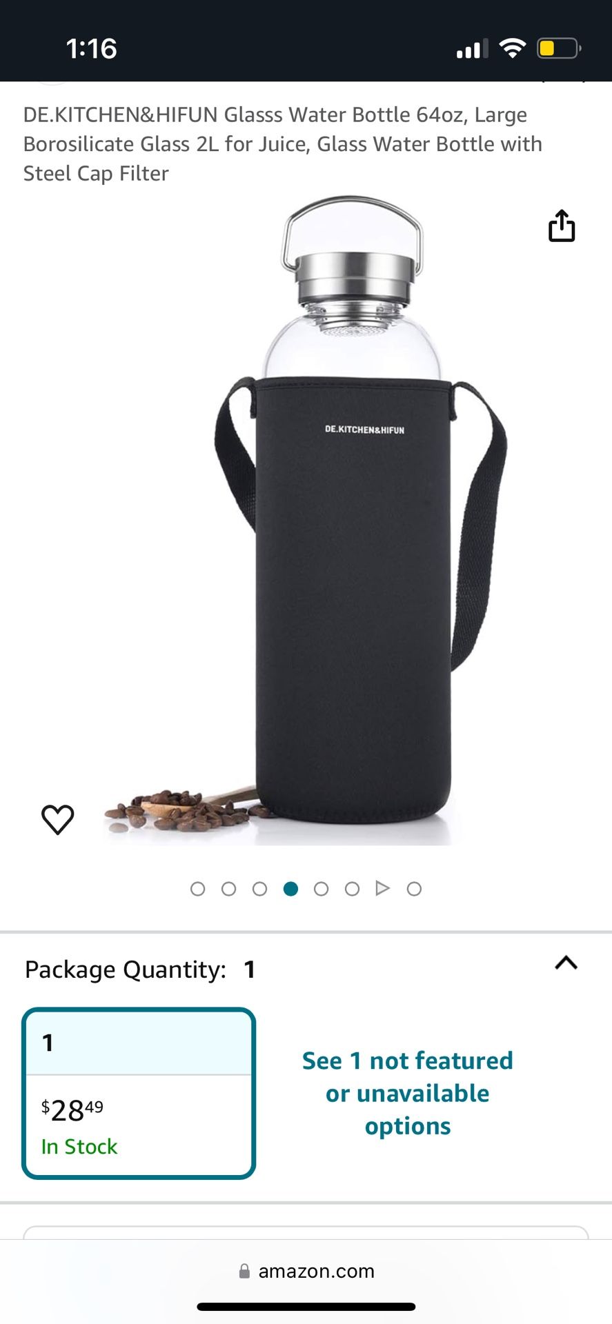 Glass Water Bottle W/ Filter