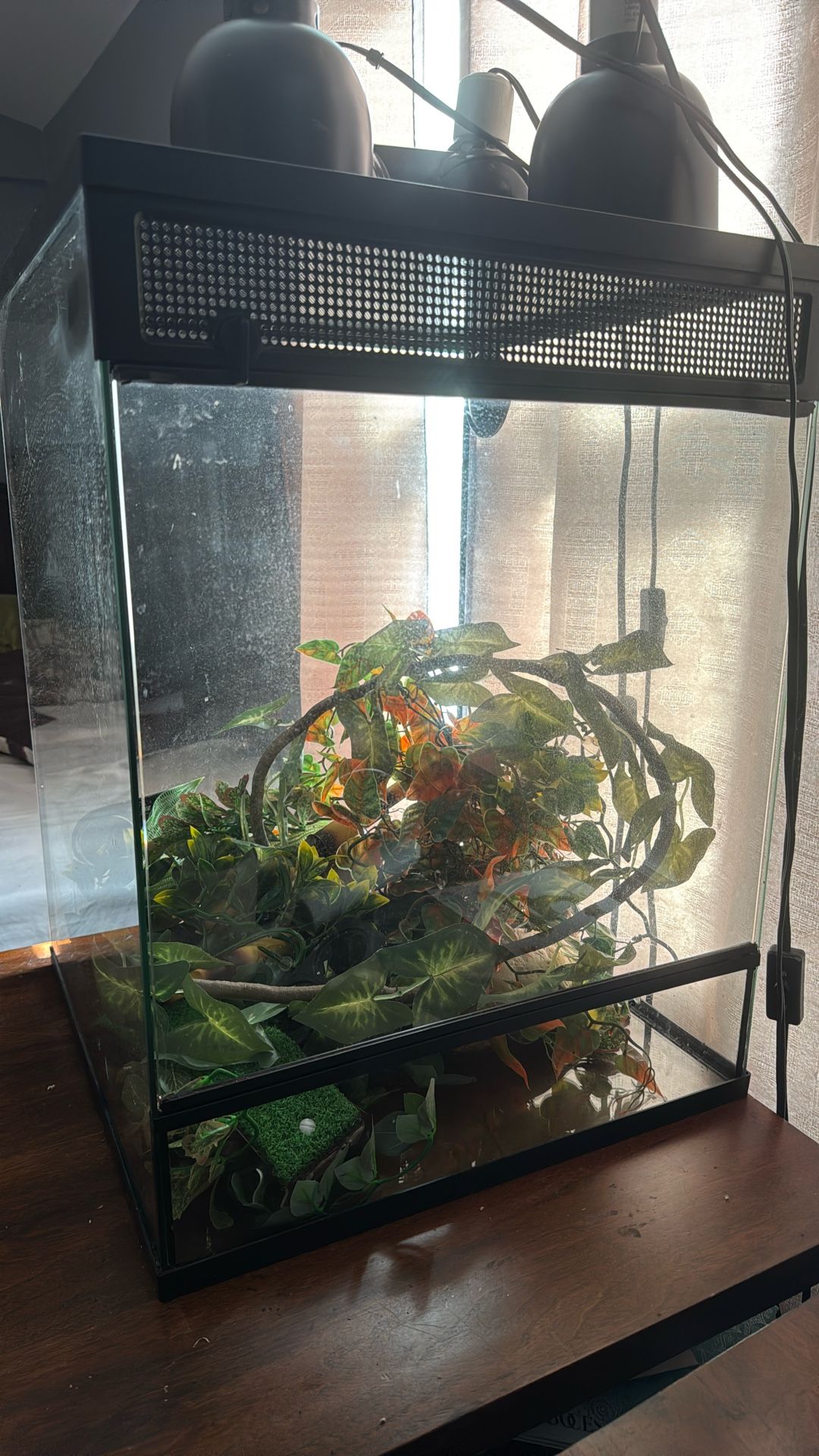 Thrive Tropical Reptile Terrarium