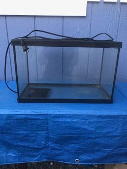 Aquarium Medium Sized 