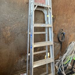 6ft Ladder 