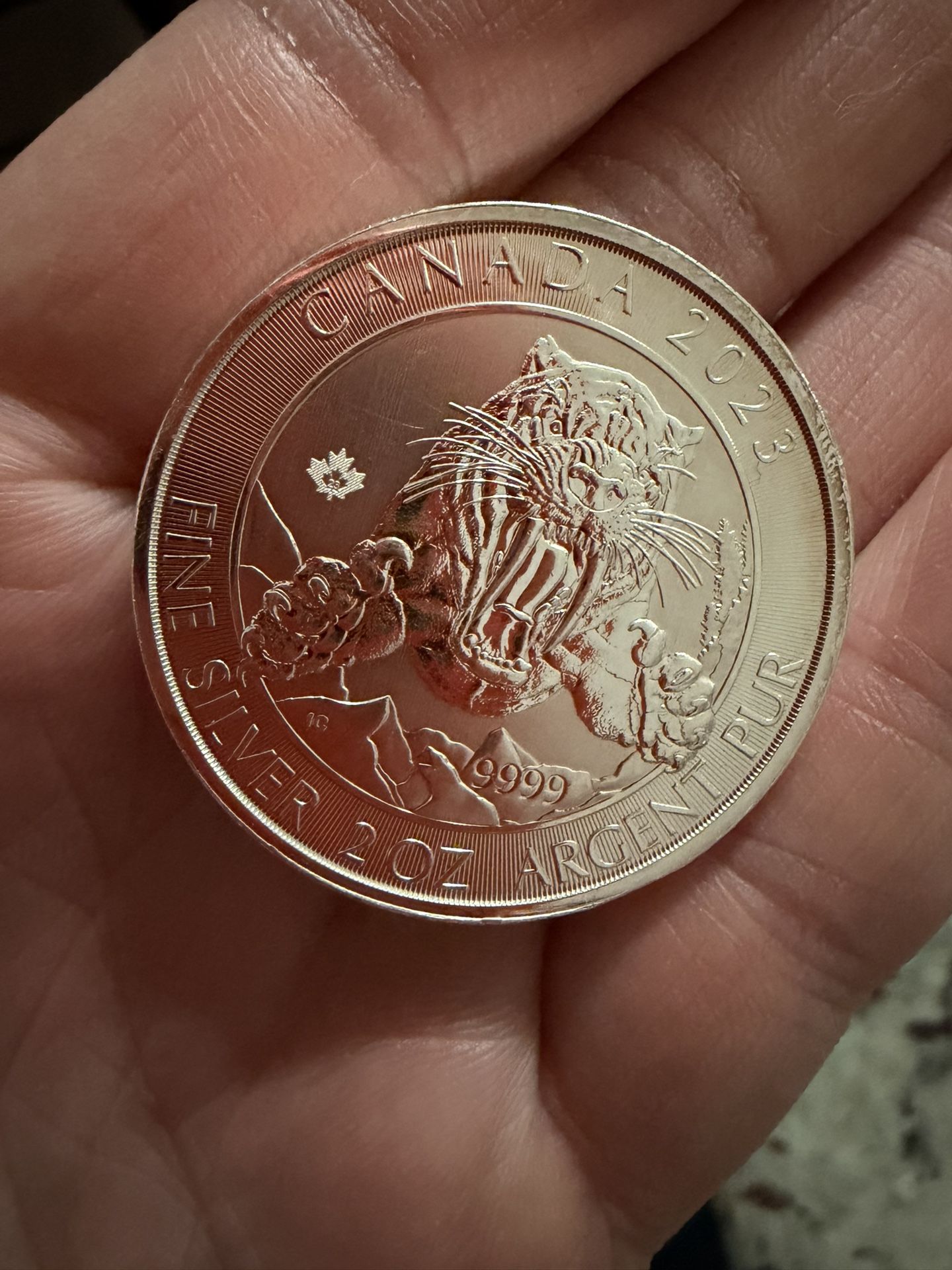 2 Ounce Canada Ice Age Silver Coin Bullion