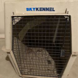 Sky Kennel Pet Carrier Hard-Sided Travel Crate