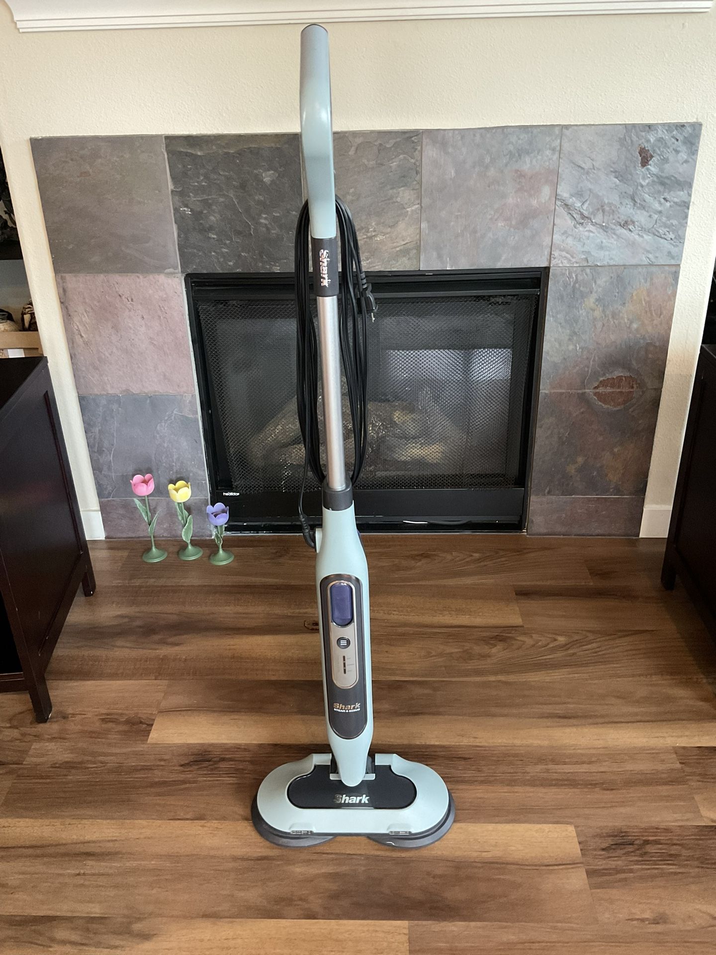 Shark Steam & Scrub All In One S8001