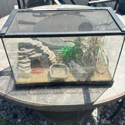 Lizard Tank