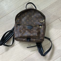 Louis Vuitton Palm Springs Mini Monogram