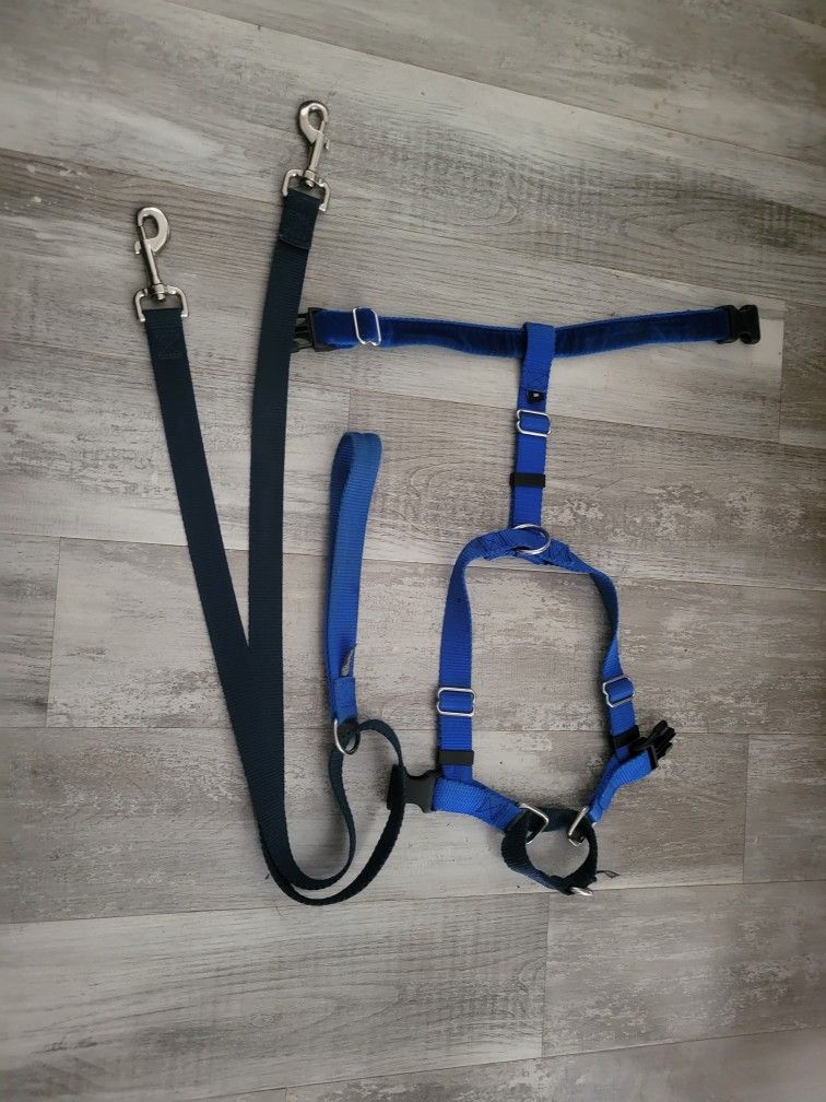 2 Hounds No Pull Harness