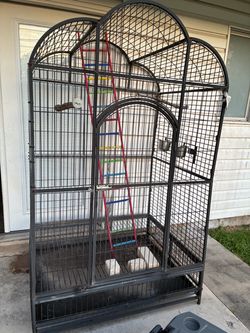Bird Cage