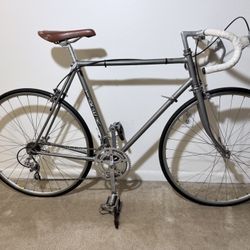 1970s trek 714 or 718?  Steel road bike Vintage Survivor condition